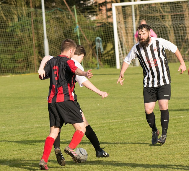 嘉兴要为2万名小学生培训游泳.