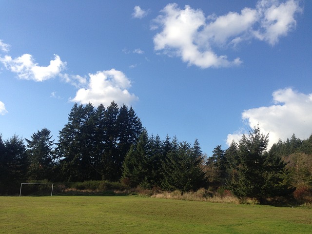 许会提高 许会提高