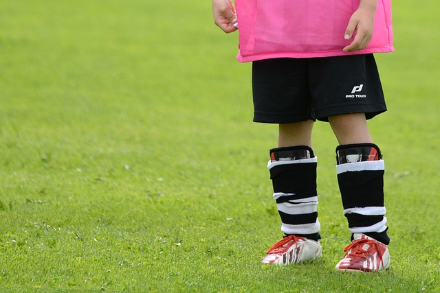 布劳内